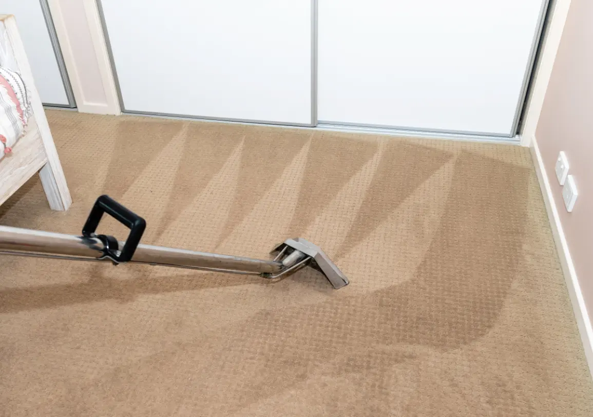 carpet cleaning